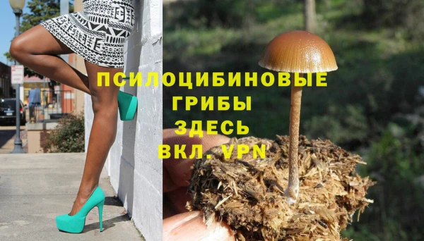 гидра Ельня