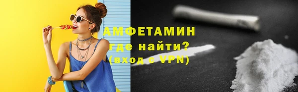 гидра Ельня