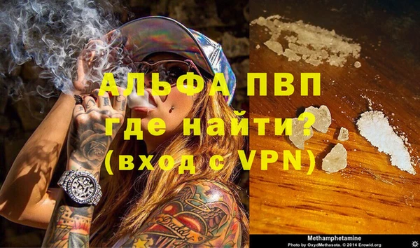 гидра Ельня
