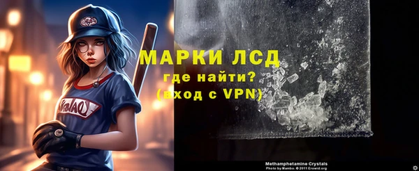 гидра Ельня