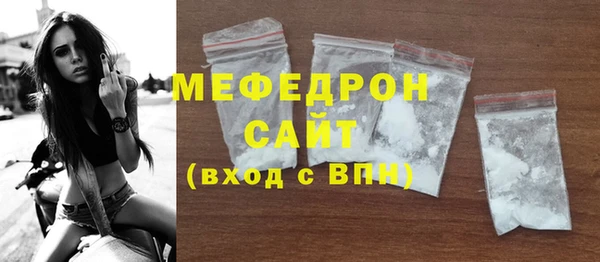 гидра Ельня