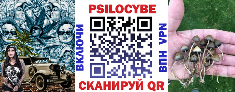 Галлюциногенные грибы Magic Shrooms  Слободской 