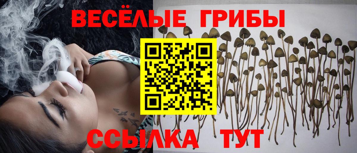 Галлюциногенные грибы GOLDEN TEACHER  Галлюциногенные грибы Psilocybe  Вход с VPN  Слободской 